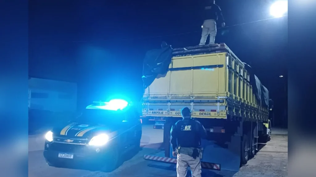CARVÃO E MADEIRA ILEGAL SÃO APREENDIDOS PELA PRF NA BR-230, NO PARÁ