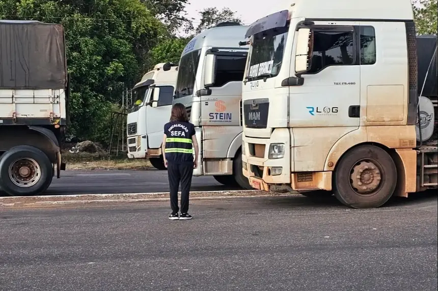 SEFA APREENDE 184 TONELADAS DE SOJA EM GRÃOS E OITO TONELADAS DE RAÇÃO