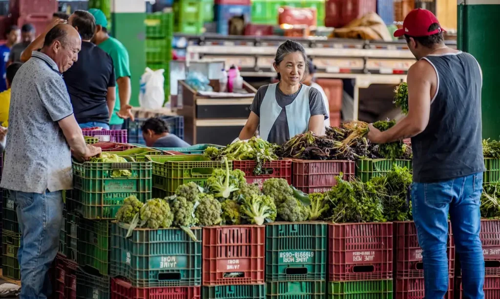  ANVISA INICIA MONITORAMENTO DE RESÍDUOS DE AGROTÓXICOS EM ALIMENTOS