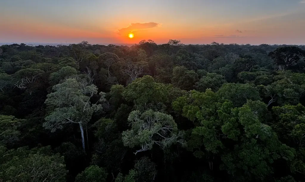 COMEÇA HOJE EM BRASÍLIA A 5ª CONFERÊNCIA NACIONAL DO MEIO AMBIENTE