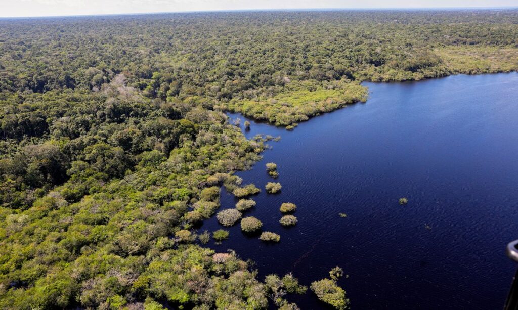 FUNDO AMAZÔNIA BATE RECORDE AO DESTINAR MAIS DE R$ 1 BILHÃO EM 2025
