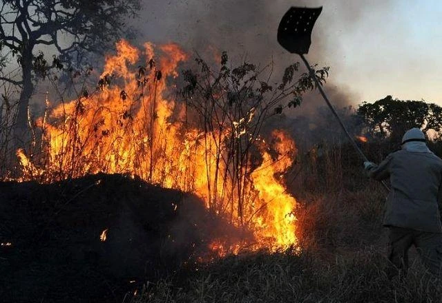 INCÊNDIOS FLORESTAIS BATEM RECORDE EM 2024; AMAZÔNIA FOI O BIOMA MAIS AFETADO