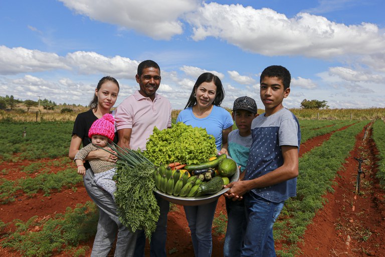 PROGRAMAS ARROZ DA GENTE E FLORESTAS PRODUTIVAS SÃO INICIATIVAS PARA MELHORAR A PRODUÇÃO DE ALIMENTOS NO BRASIL