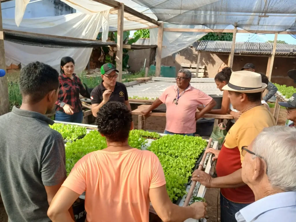 RONDON DO PARÁ: EMATER E PREFEITURA PROMOVEM CURSO DE TECNOLOGIA DE CULTIVO HIDROPÔNICO