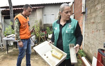 GOIÂNIA (GO): MUNICÍPIO REGISTRA MAIS DE 21 MIL CASOS E SETE MORTES POR DENGUE EM 2025