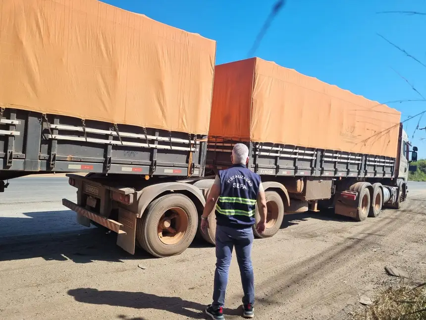 SEFA APREENDE 49 TONELADAS DE MILHO E 50 TONELADAS DE SOJA EM GRÃO EM MARABÁ