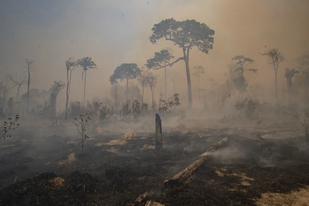 JUSTIÇA FEDERAL TORNA RÉU FAZENDEIRO ACUSADO DE INCENDIAR TERRA PÚBLICA E PORTAR ARMA DE USO RESTRITO NO PARÁ