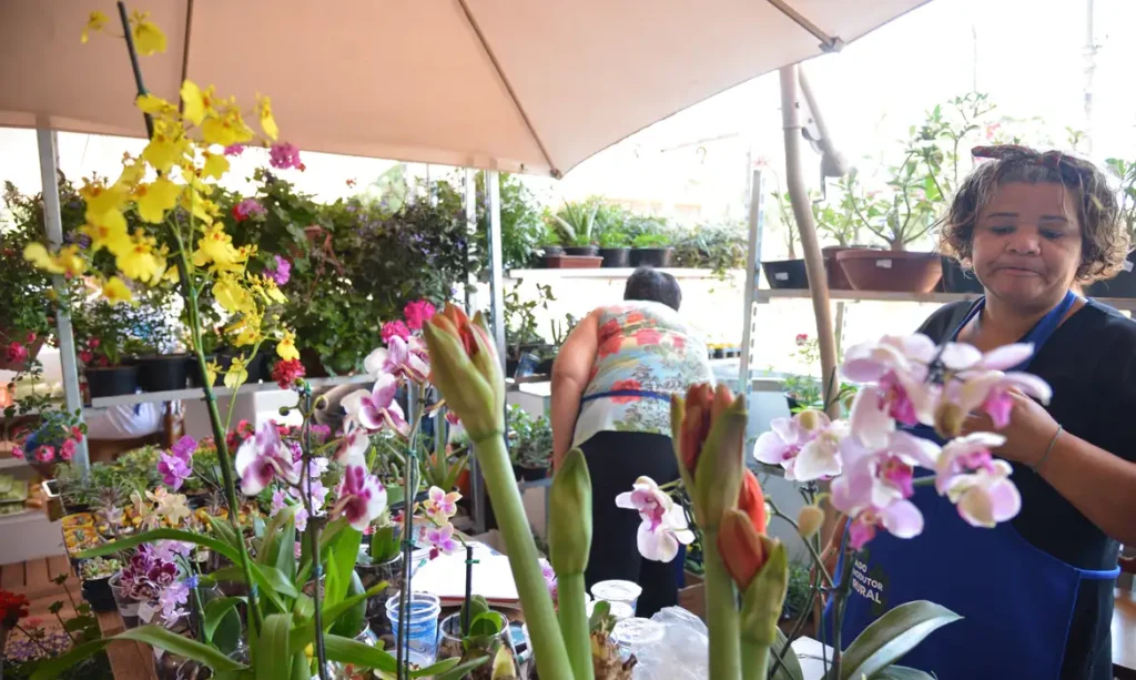  MICROCRÉDITO ESTIMULA ABERTURA DE PEQUENOS NEGÓCIOS NO BRASIL