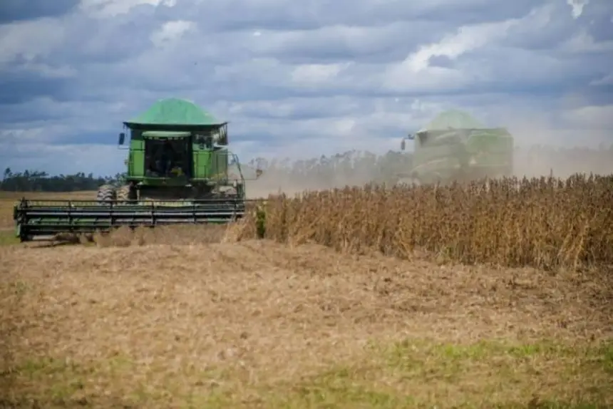 PRODUÇÃO AGROPECUÁRIA DO PARÁ APRESENTA PROJEÇÃO DE CRESCIMENTO SUPERIOR A 16%