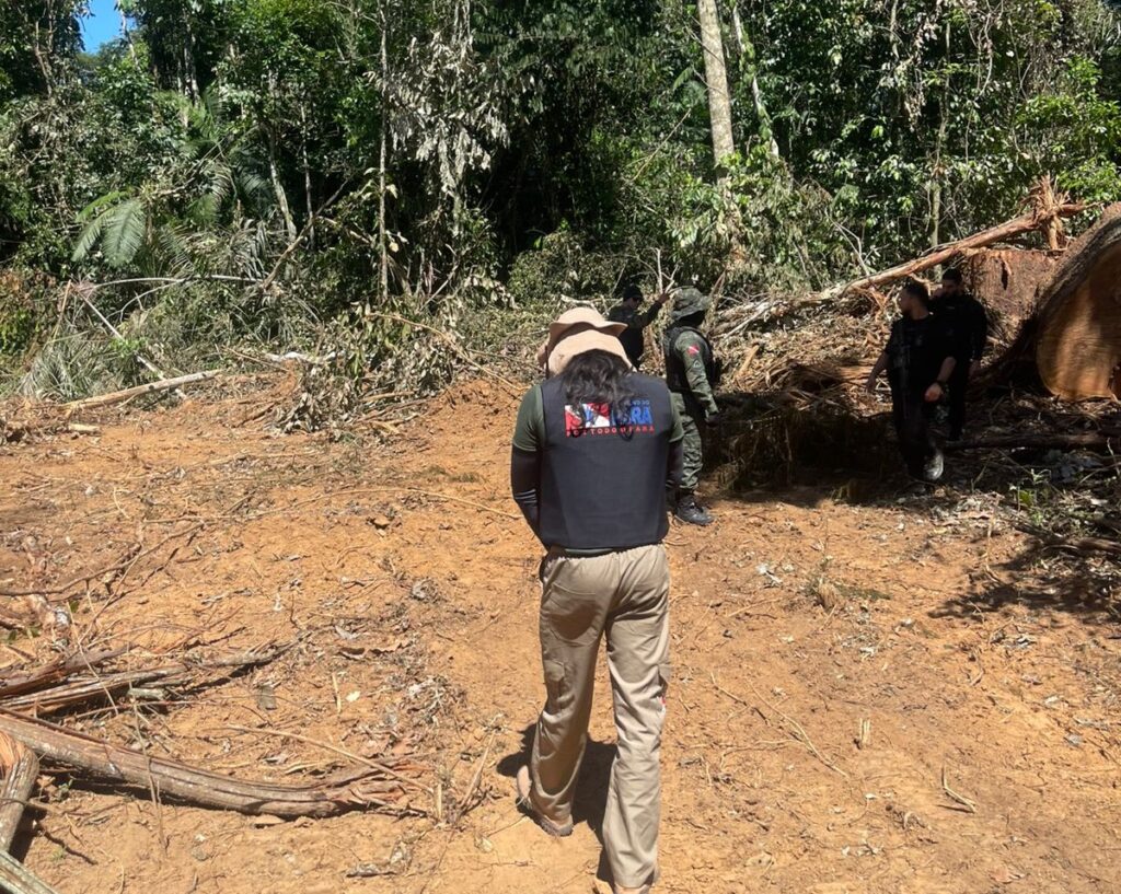 ATUAÇÃO INTEGRADA DAS FORÇAS DE SEGURANÇA NA OPERAÇÃO ‘CURUPIRA’ COMBATE DESMATAMENTO EM SÃO FÉLIX DO XINGU