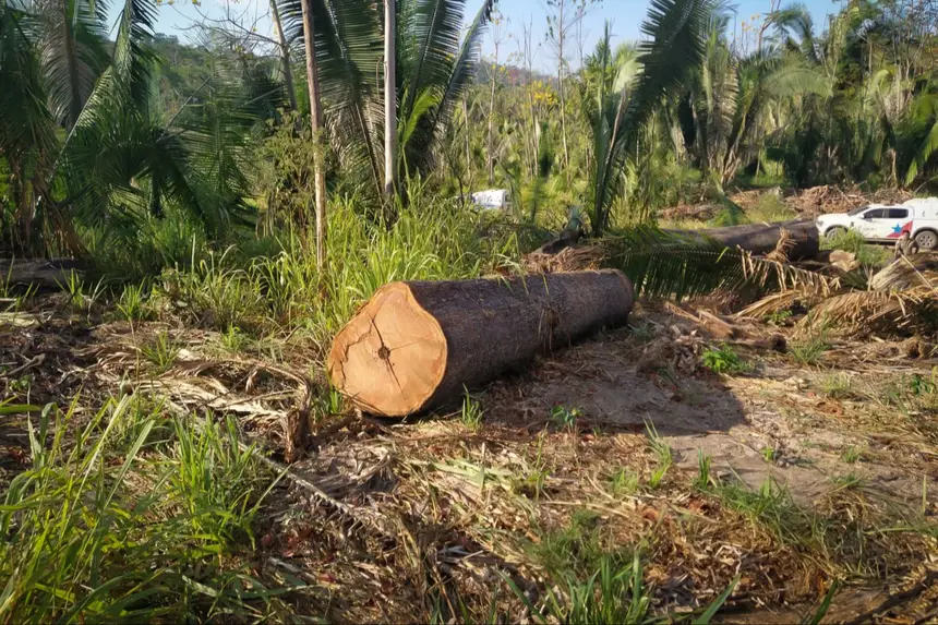 EM NOVO PROGRESSO, ‘OPERAÇÃO CURUPIRA’ PRENDE EM FLAGRANTE DONO DE ÁREA DESMATADA
