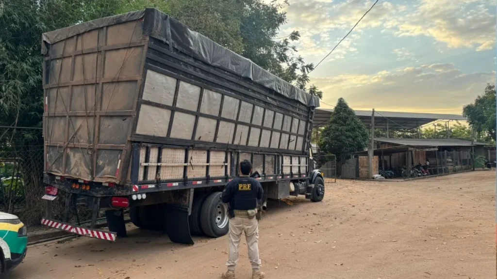 PRF FLAGRA TRANSPORTE ILEGAL DE MADEIRA E CARVÃO VEGETAL
