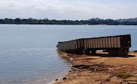SUL DO PARÁ: CAMINHÃO CARREGADO DE GADO CAI NO RIO XINGU AO TENTAR EMBARCAR EM BALSA EM SÃO FÉLIX DO XINGU
