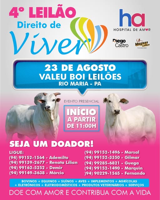 LEILÃO SOLIDARIO DIREITO DE VIVER