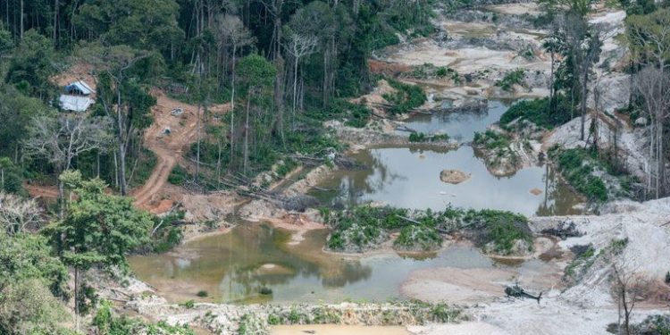 JUSTIÇA FECHA 182 FAZENDAS DE UMA SÓ VEZ NO PARÁ