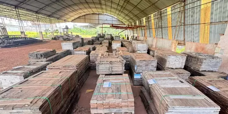 SEMAS REALIZA LEILÃO DE MADEIRA APREENDIDA NESTE SÁBADO EM BELÉM; CONFIRA OS TIPOS