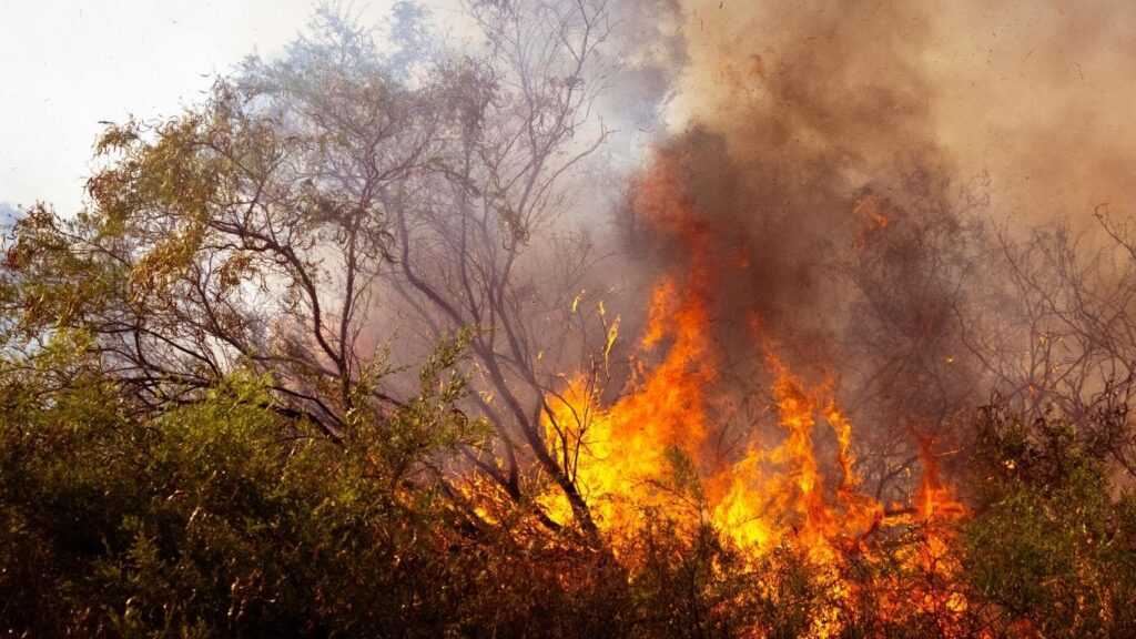 BOMBEIROS REFORÇAM EQUIPES PARA CONTER QUEIMADAS EM MARABÁ