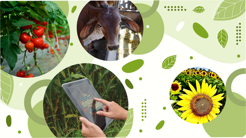 PROGRMA PROSA PROSA RURAL DESTA SEMANA FALA PRÓ-ORGÂNICO