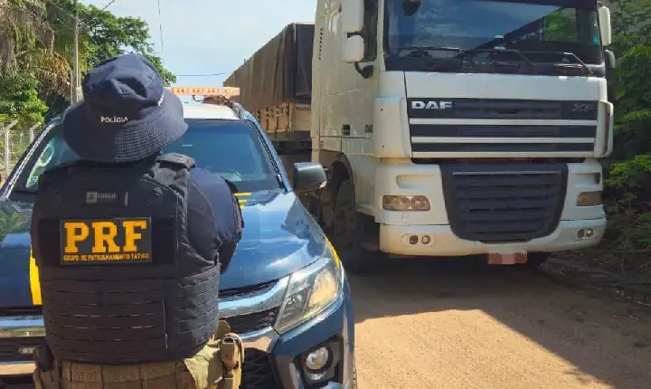 QUASE 310M³ DE MADEIRA FORAM APREENDIDOS EM CINCO DIAS DE OPERAÇÃO NO SUDESTE DO PARÁ, DIZ PRF