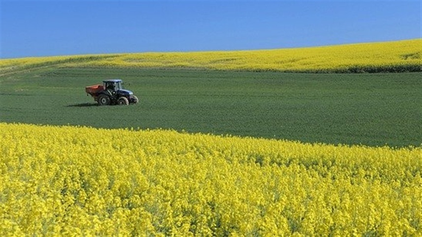PRAZO DO GEORREFERENCIAMENTO DE IMÓVEIS RURAIS É ESTENDIDO PARA 2030