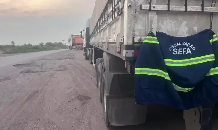 SEFA APREENDE 623 M² DE LADRILHOS AVALIADOS EM MAIS DE R$ 175 MIL