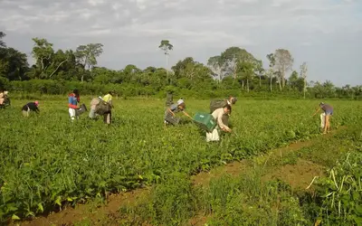 FNO IMPULSIONA DESENVOLVIMENTO ECONÔMICO NO NORTE E FINANCIA R$ 13,4 BILHÕES ATÉ SETEMBRO