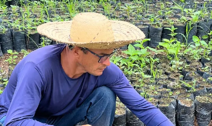 FÓRUM TERRITORIAL CELEBRA CONQUISTAS DO PRIMEIRO CICLO DO PROGRAMA PARICÁ E FORTALECE ALIANÇAS