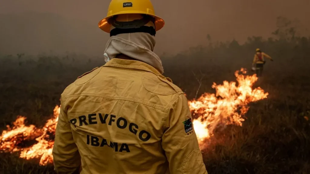 IBAMA ABRE SELEÇÃO PARA COMBATE A INCÊNDIOS COM SALÁRIO DE R$ 5,6 MIL E VAGAS NO PARÁ