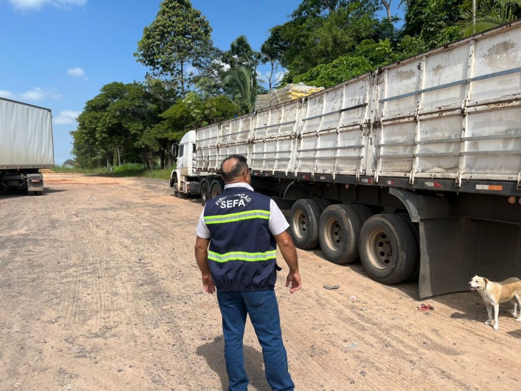 FISCALIZAÇÃO APREENDE CARGA AVALIADA EM R$ 247 MIL POR IRREGULARIDADE NO RECOLHIMENTO DE ICMS EM MARABÁ