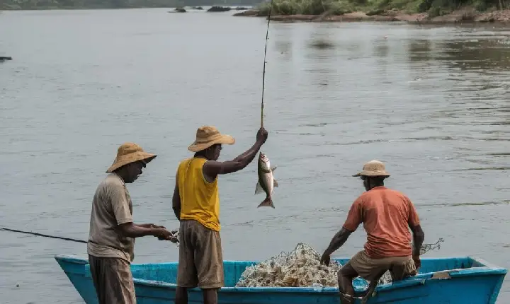 PARÁ INICIA PAGAMENTO DO 1º LOTE DO SEGURO-DEFESO