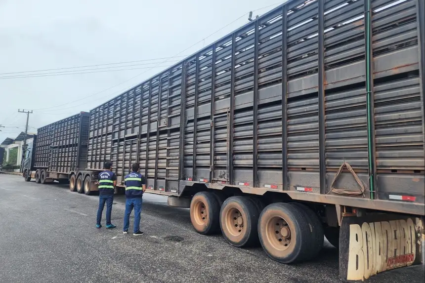 SEFA APREENDE GADO SUBFATURADO E CARGA DE BEBIDAS SEM NOTA NO NORDESTE PARAENSE