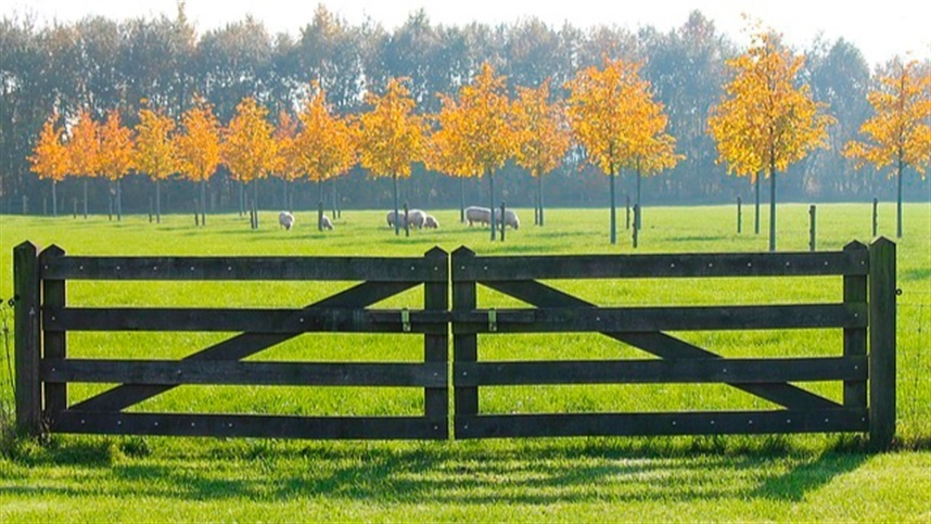 GARANTIA-SAFRA BENEFICIA AGRICULTORES COM PERDAS NA PRODUÇÃO