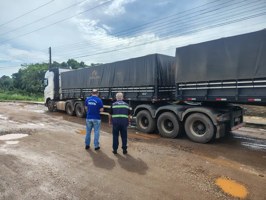 SEFA APREENDE MAIS DE 17 TONELADAS DE MEL DE ABELHA EM CACHOEIRA DO PIRIÁ