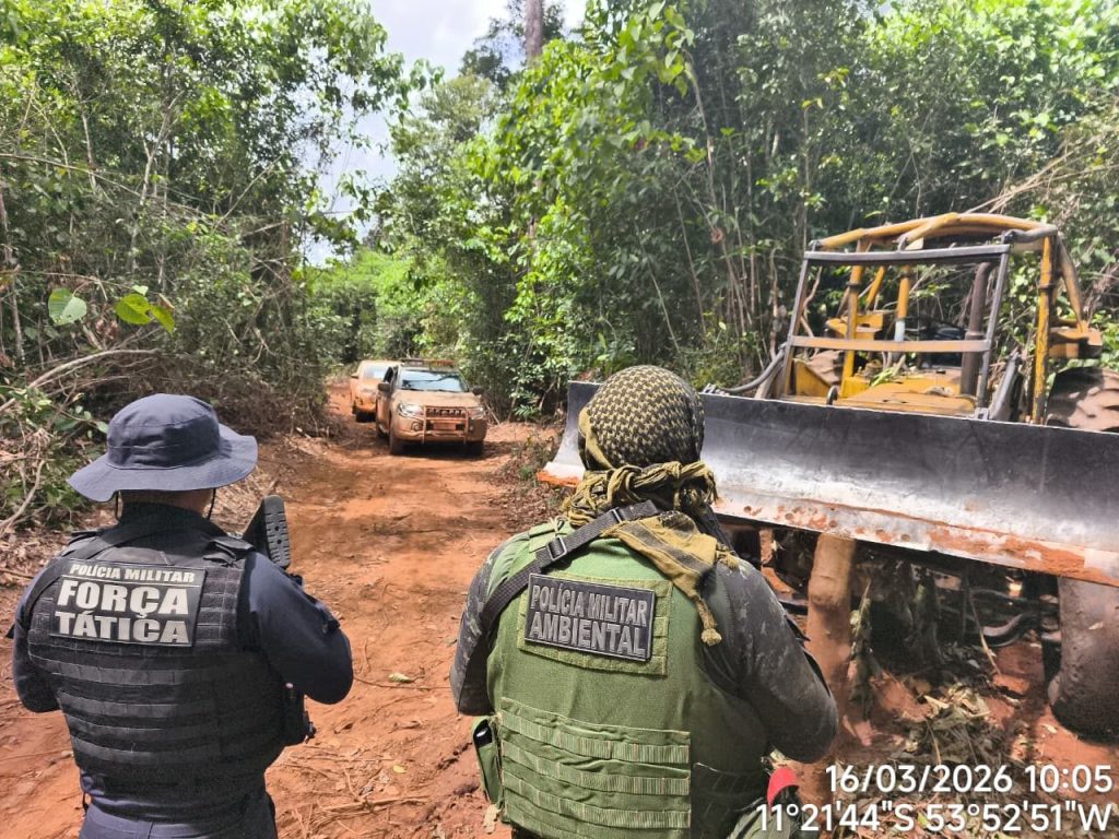EXPLORAÇÃO FLORESTAL ILEGAL RESULTA EM MAIS DE R$ 1,5 MILHÃO EM MULTAS NO INTERIOR DE MT
