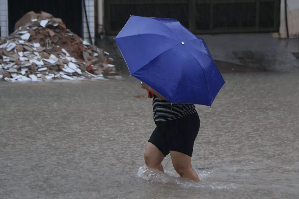 CHUVAS INTENSAS NO PARÁ AUMENTAM RISCO DE LEPTOSPIROSE; SAIBA COMO PREVENIR