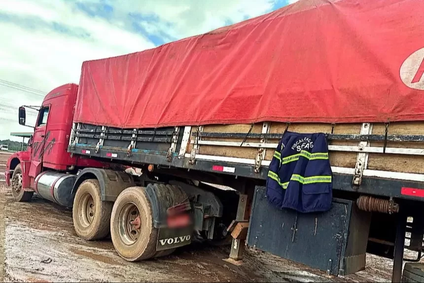 SEFA APREENDE 300 HECTOLITROS DE CASTANHA-DO-PARÁ AVALIADOS EM R$ 150 MIL