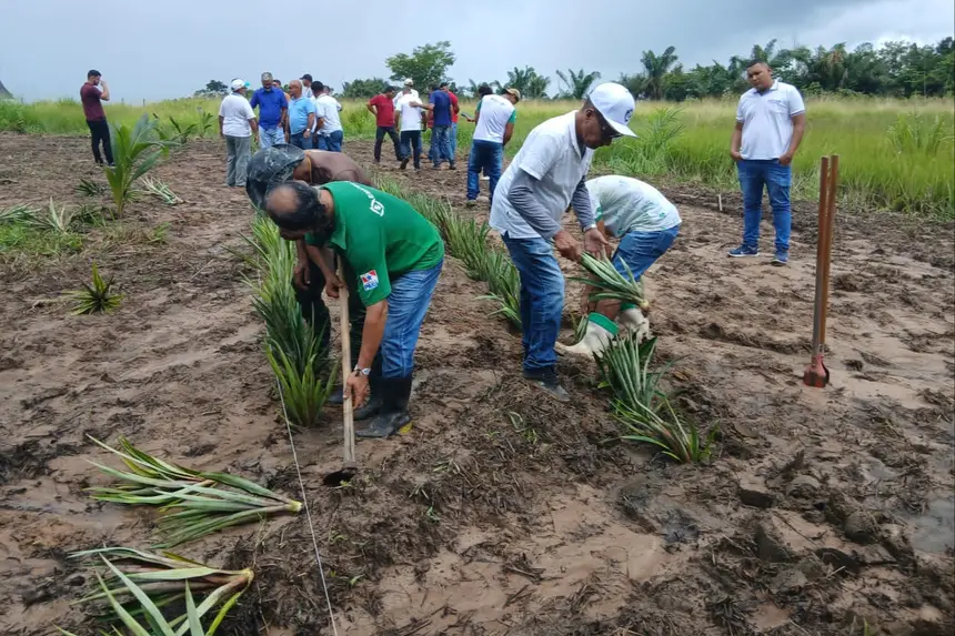 EMATER INSTALA ‘QUINTAL PRODUTIVO’ PARA CAPACITAR AGRICULTORES DE TODO O PARÁ 