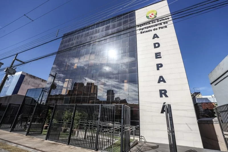 ADEPARÁ ABRE PROCESSO SELETIVO SIMPLIFICADO PARA CONTRATAÇÃO TEMPORÁRIA NO SUDESTE PARAENSE