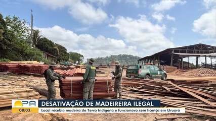MADEIREIRA CLANDESTINA QUE RECEBIA MADEIRA DE TERRA INDÍGENA É DESATIVADA DURANTE OPERAÇÃO EM URUARÁ