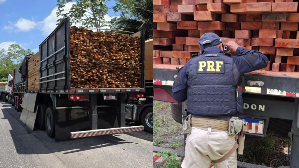 PRF APREENDE MAIS DE 1.000 M³ DE MADEIRA ILEGAL DURANTE FISCALIZAÇÃO NO PARÁ