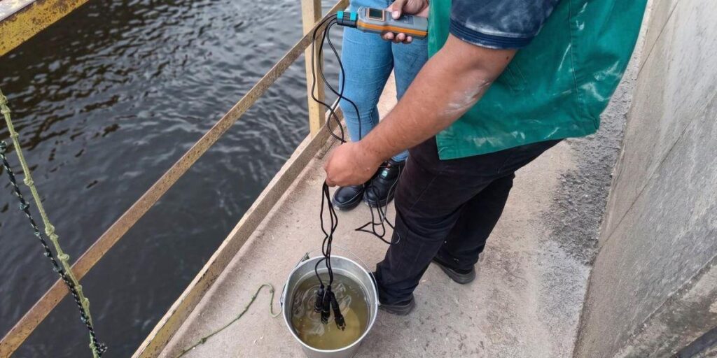 PREFEITURA COBRA EXPLICAÇÕES DE EMPRESA APÓS PEIXES APARECEREM MORTOS EM BARCARENA