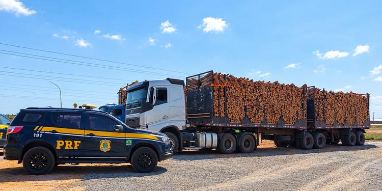 PRF APREENDE 77,4 M³ DE MADEIRA ILEGAL NA BR-230, EM SÃO DOMINGOS DO ARAGUAIA