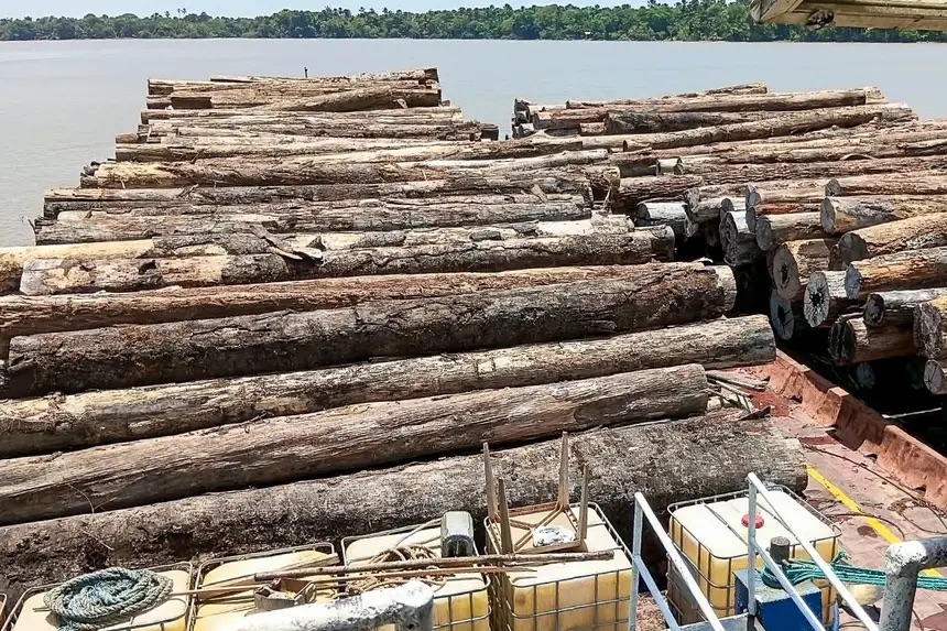 APREENSÃO DE MADEIRA ILEGAL MOBILIZA EQUIPES DA BASE FLUVIAL DO BAIXO TOCANTINS