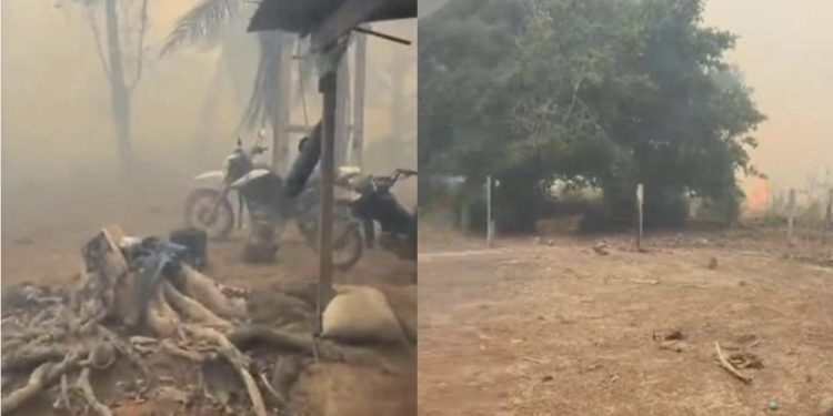 INCÊNDIO AVANÇA SOBRE PASTAGENS E MATA BOVINOS NO PARÁ